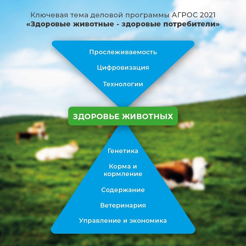 АГРОС-2021: Курс на инновации и высокий уровень безопасности продукции животноводства