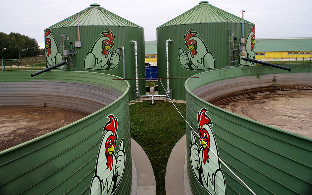Получение биогаза из отходов птицеводческой промышленности